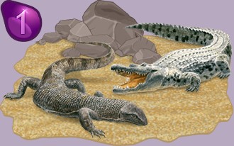 Classement des expositions de reptiles